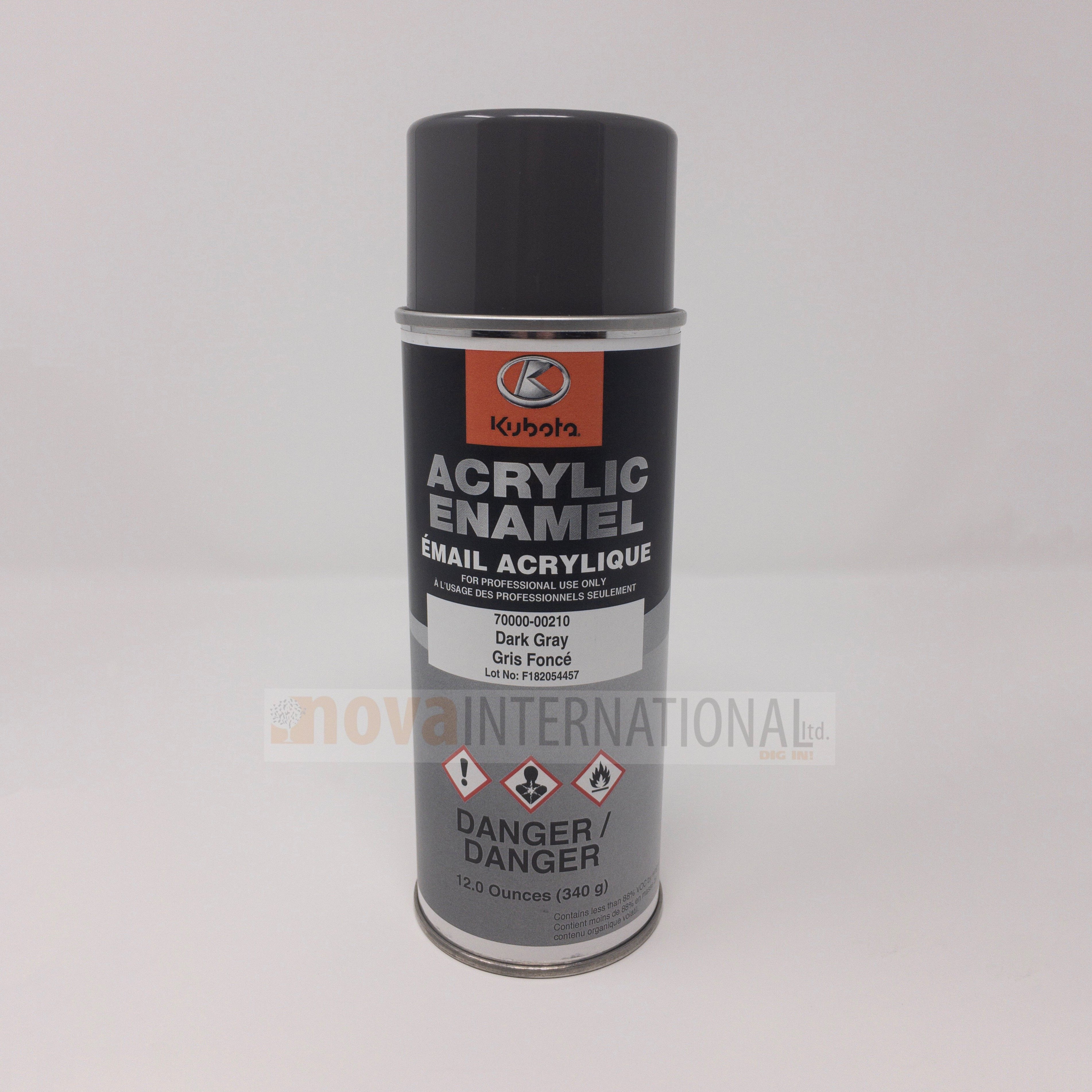 Dark Gray Paint - Spray Can