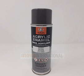 Dark Gray Paint - Spray Can