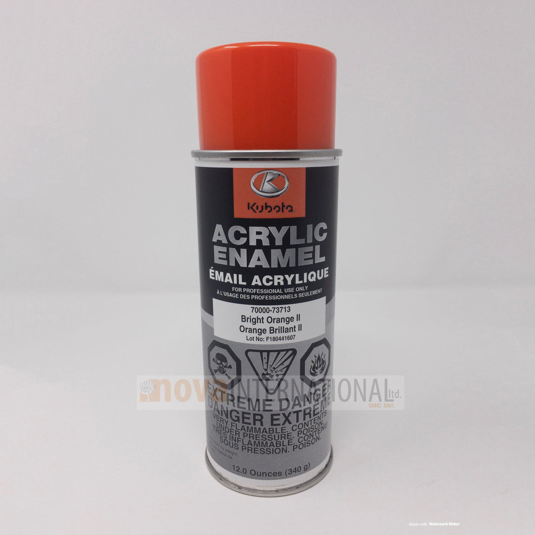 Bright Orange II Paint - Spray Can